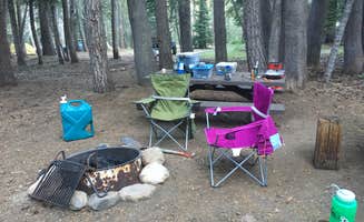 Amanda D.'s photo at Lodgepole Overflow & Group Campground near Bear Valley, CA
