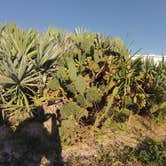 Review photo of Beachside Camping — Gamble Rogers Memorial State Recreation Area at Flagler Beach by Billy A., April 1, 2015