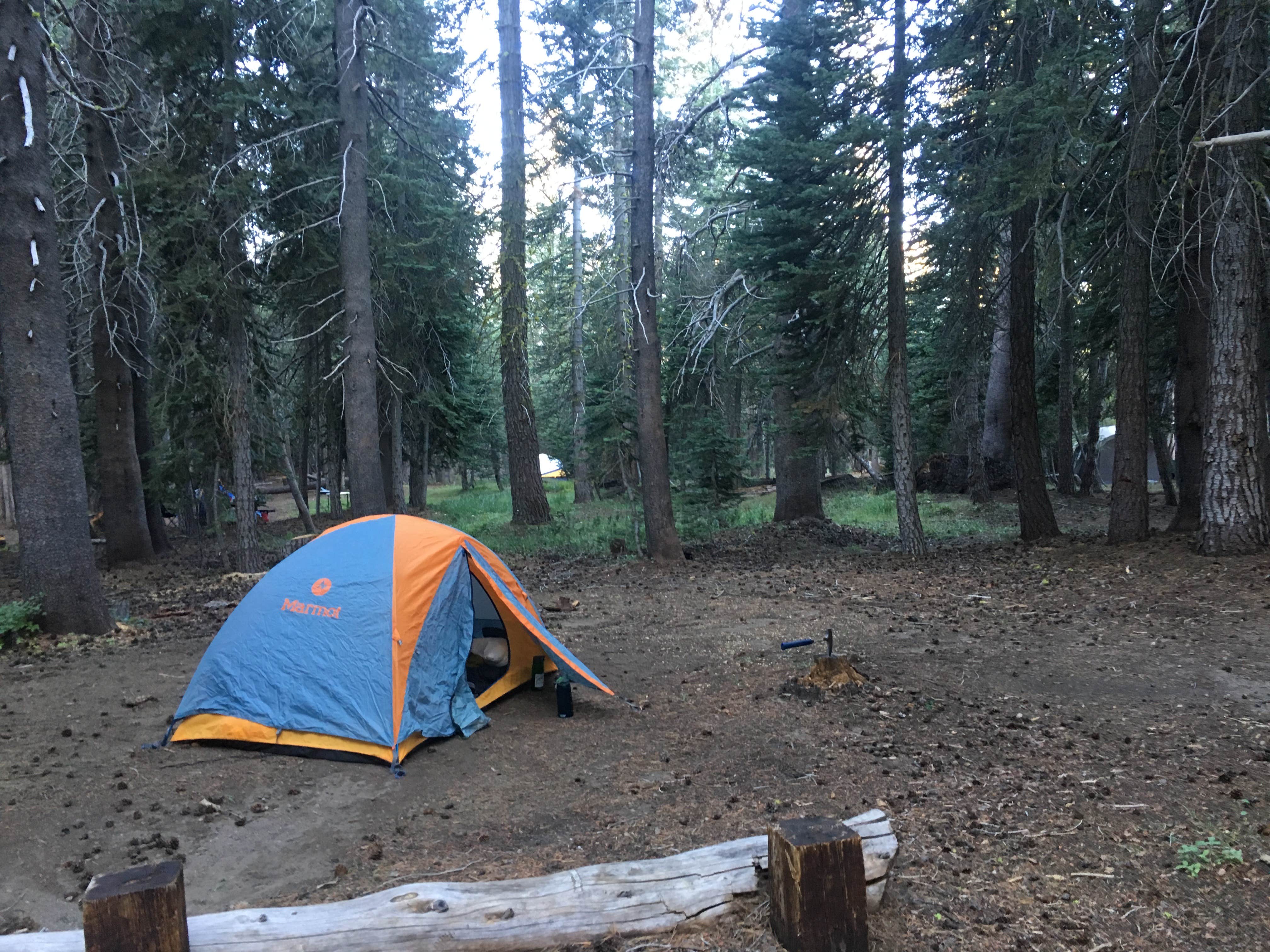 Camper-submitted photo at Lodgepole Overflow & Group Campground near Camp Connell, CA