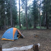 Review photo of Lodgepole Overflow & Group Campground by Amanda D., September 27, 2017