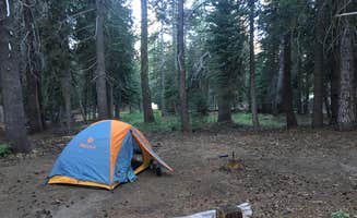 Amanda D.'s photo at Lodgepole Overflow & Group Campground near Bear Valley, CA