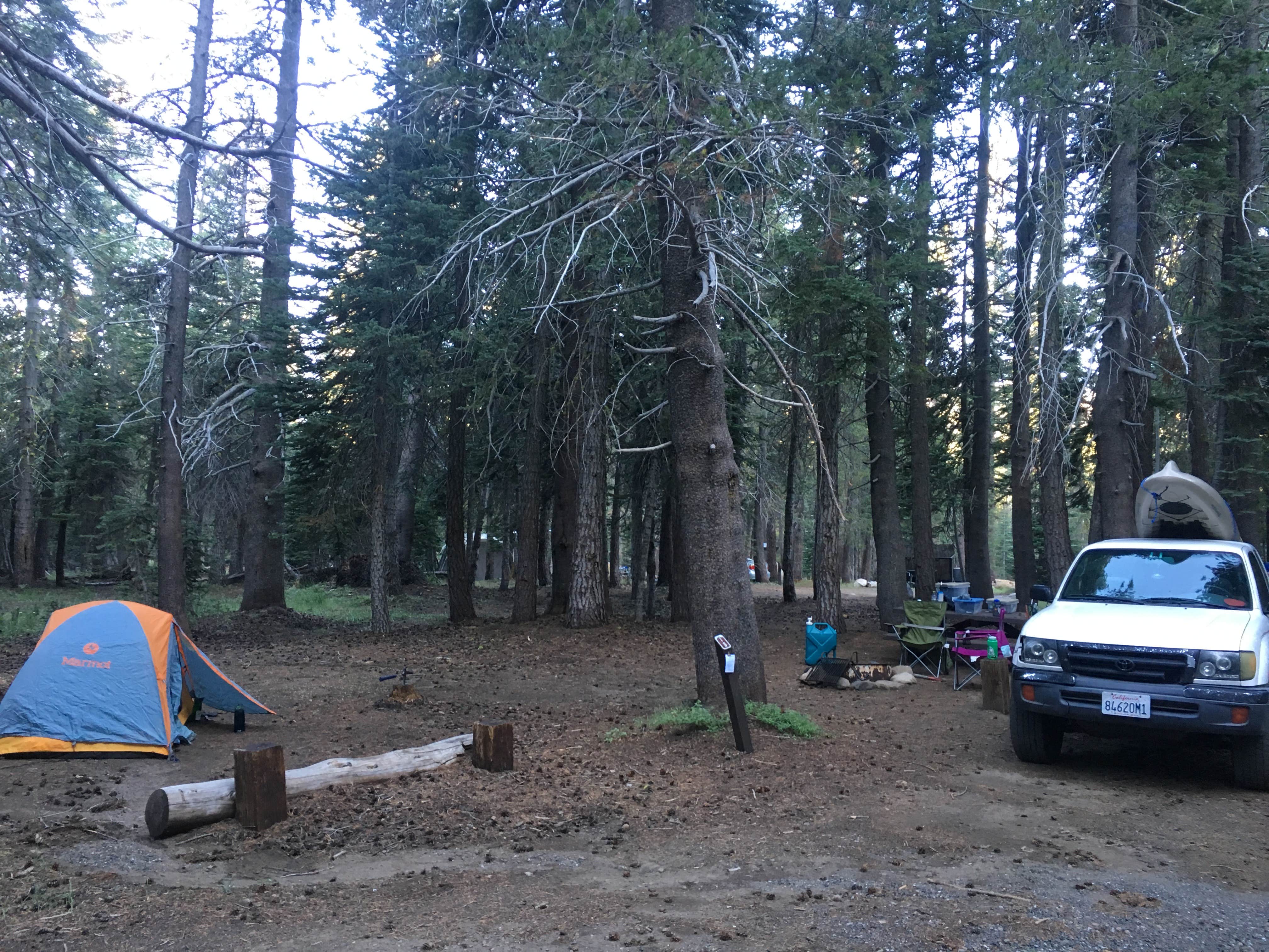 Camper-submitted photo at Lodgepole Overflow & Group Campground near Camp Connell, CA