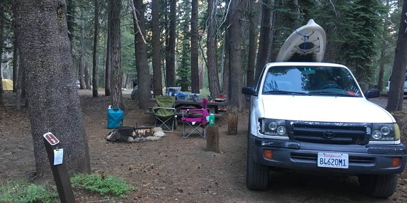 Camper submitted image from Lodgepole Overflow & Group Campground