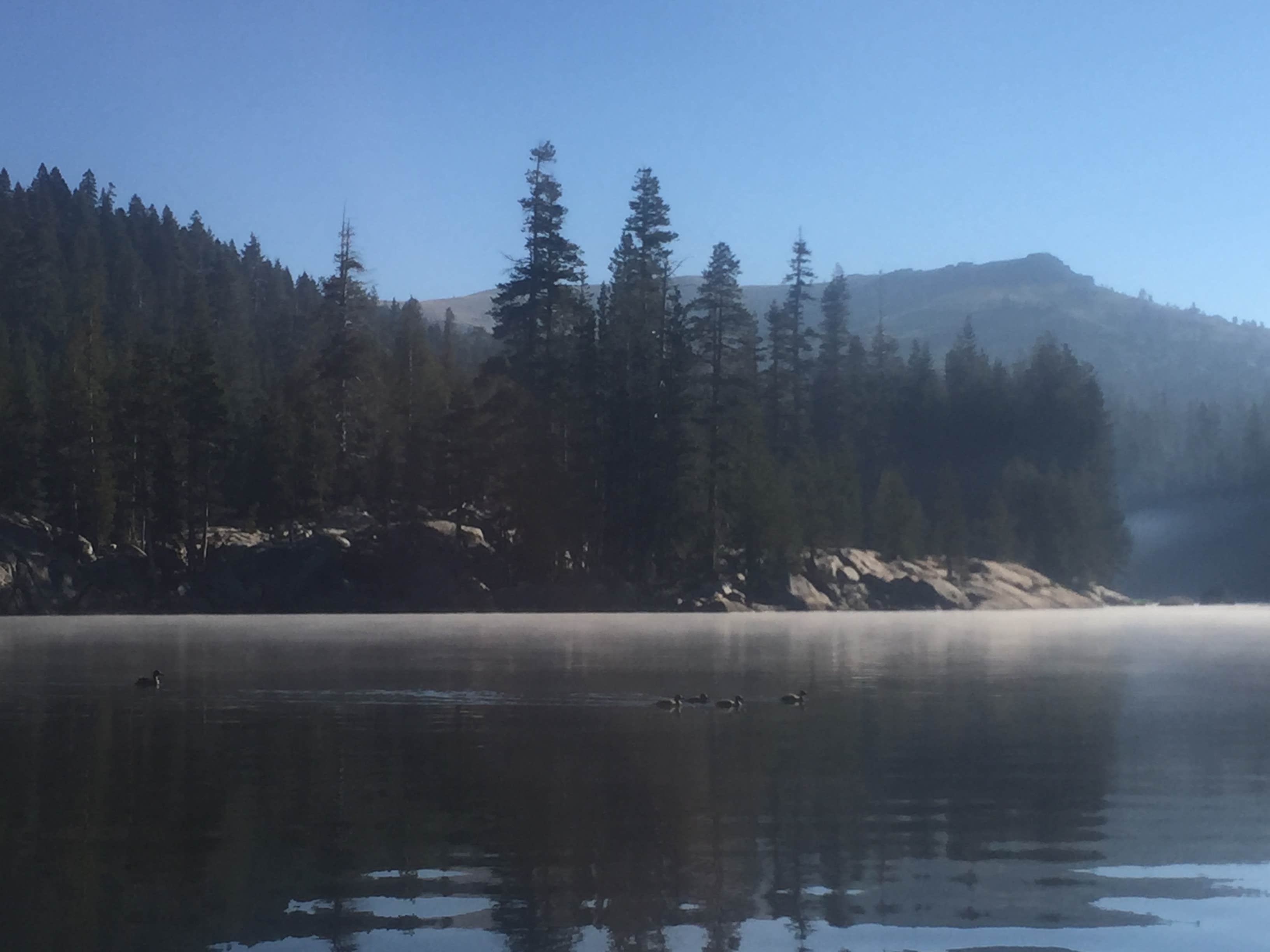 Camper-submitted photo at Lodgepole Overflow & Group Campground near Camp Connell, CA
