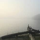 Review photo of Nickerson State Park Campground by Molly G., September 27, 2017
