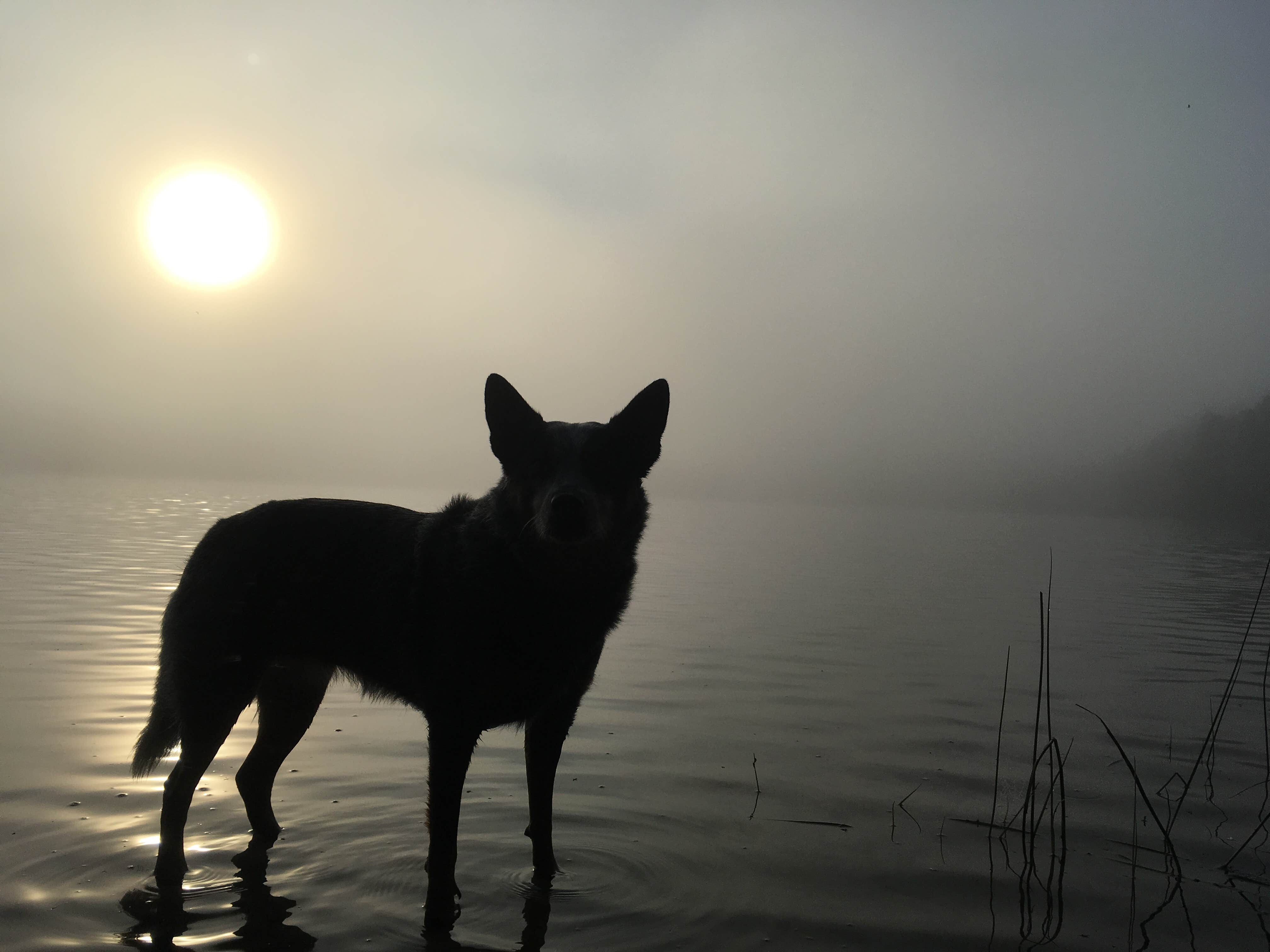Nickerson State Park Campground