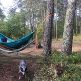 Review photo of Nickerson State Park Campground by Molly G., September 27, 2017