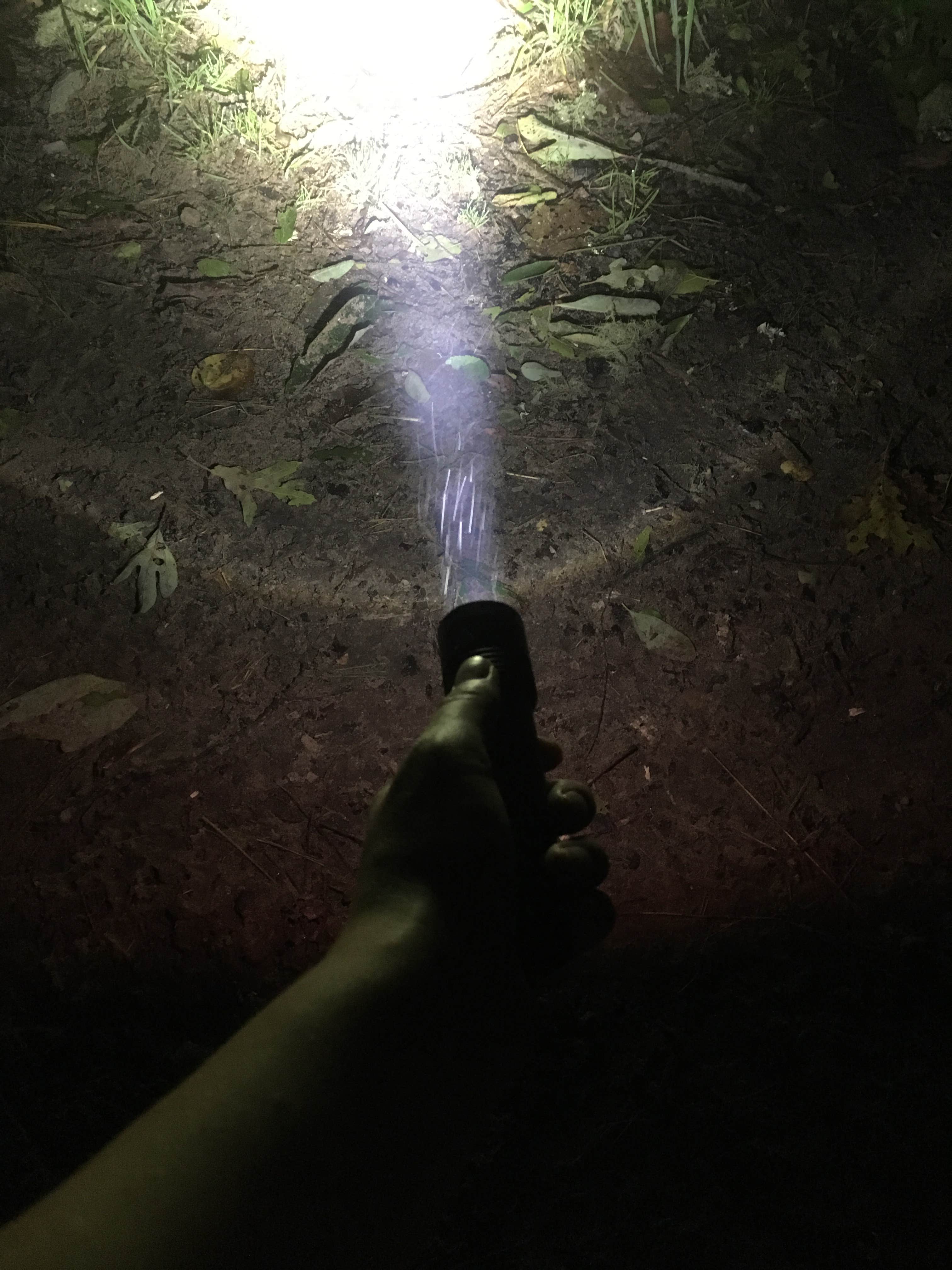 Camper-submitted photo at Nickerson State Park Campground near Orleans, MA