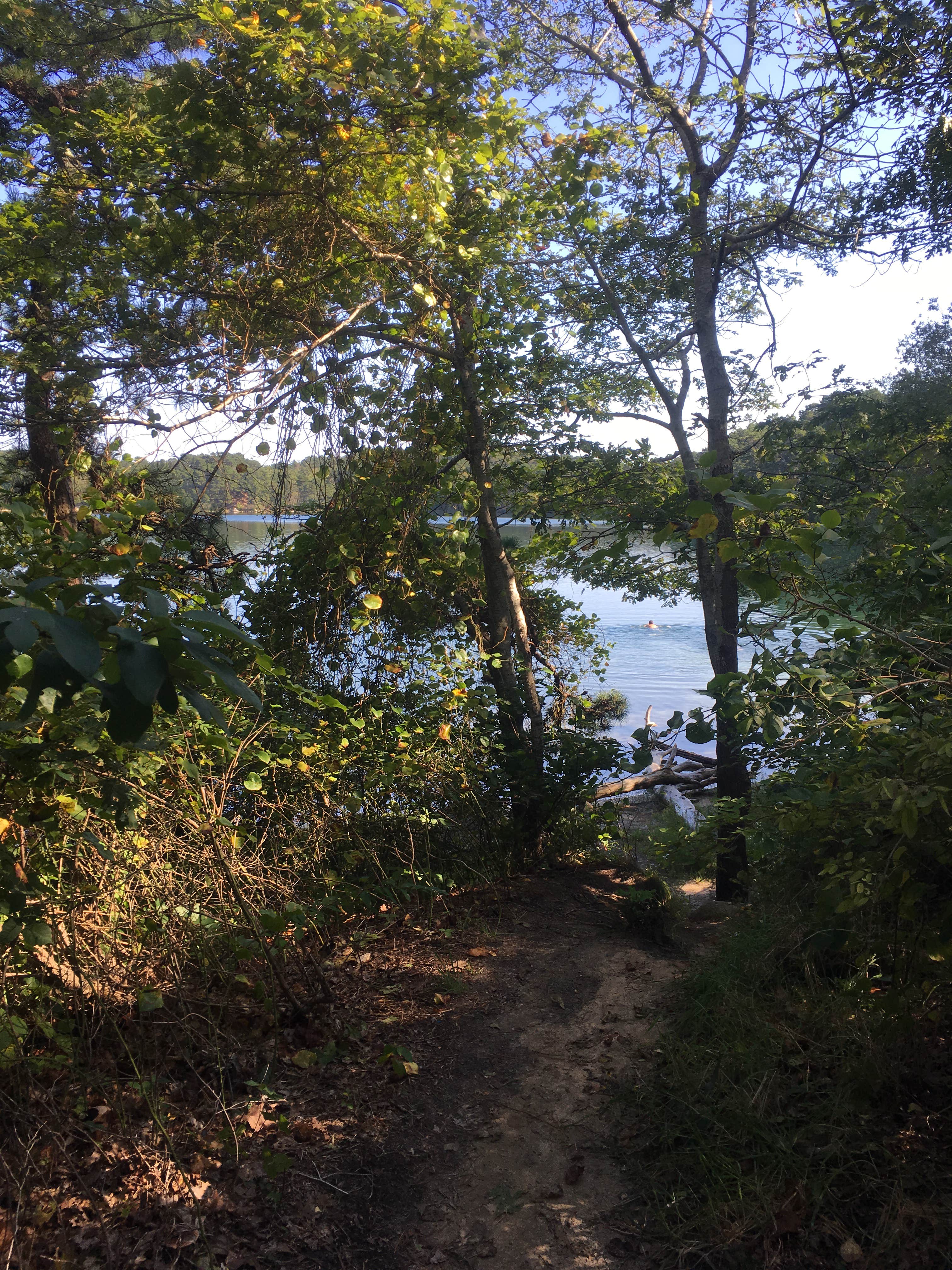 Camper submitted image from Nickerson State Park Campground - 4