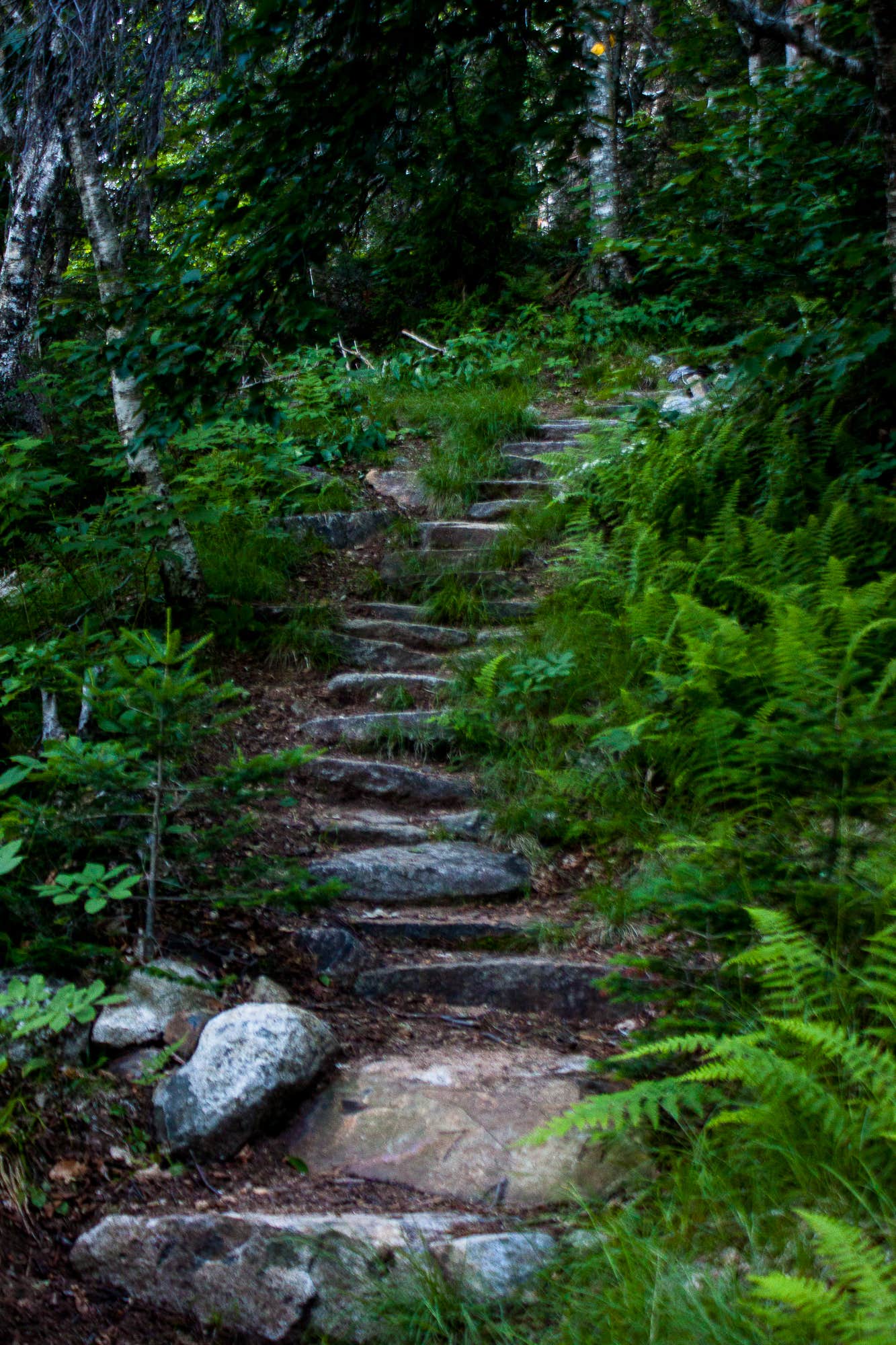 Camper-submitted photo at Mount Ascutney State Park Campground near Springfield, NH