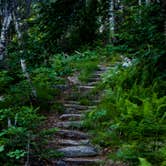 Review photo of Mount Ascutney State Park Campground by Tara S., September 27, 2017
