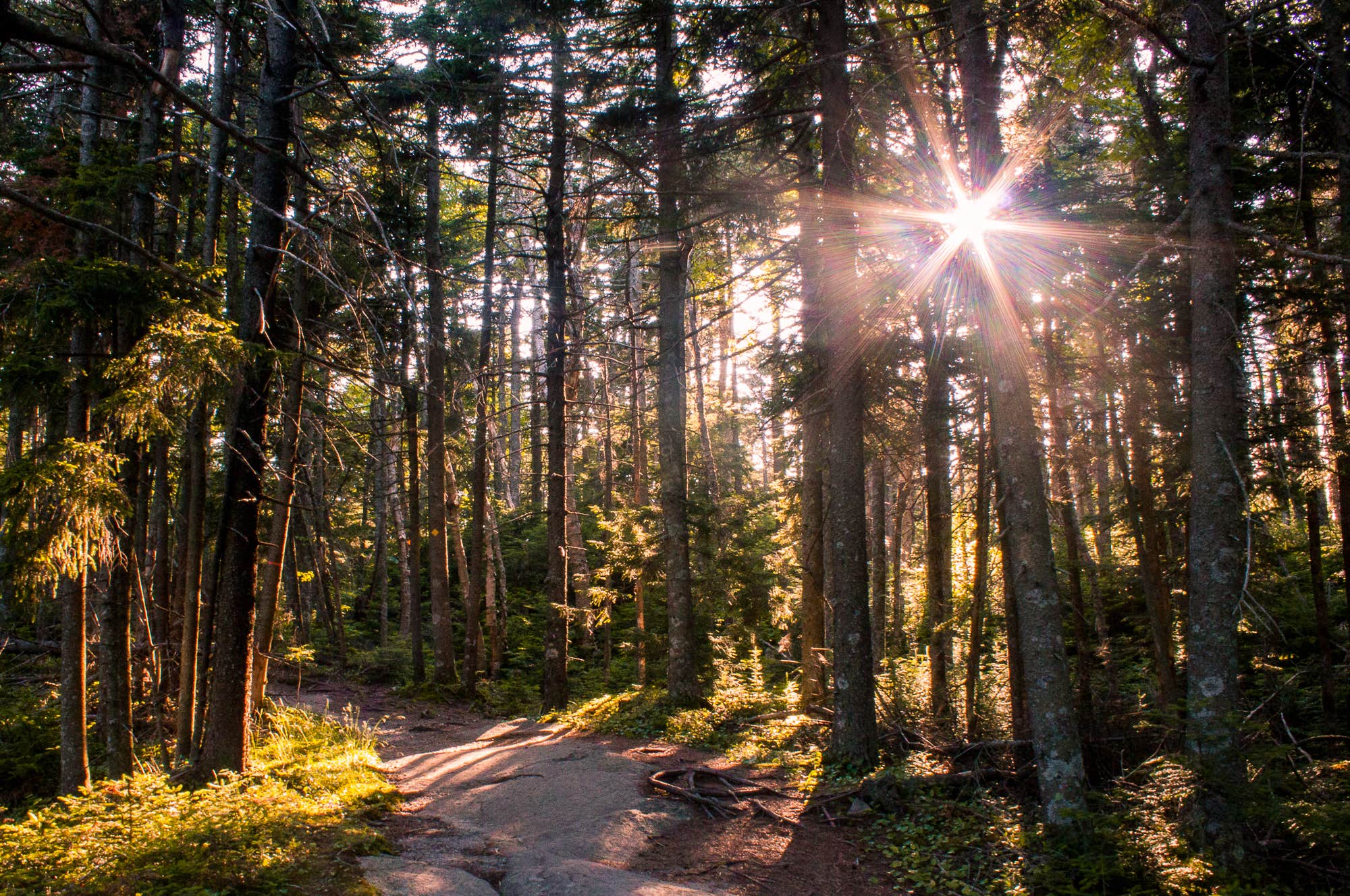 Camper-submitted photo at Mount Ascutney State Park Campground near Springfield, NH