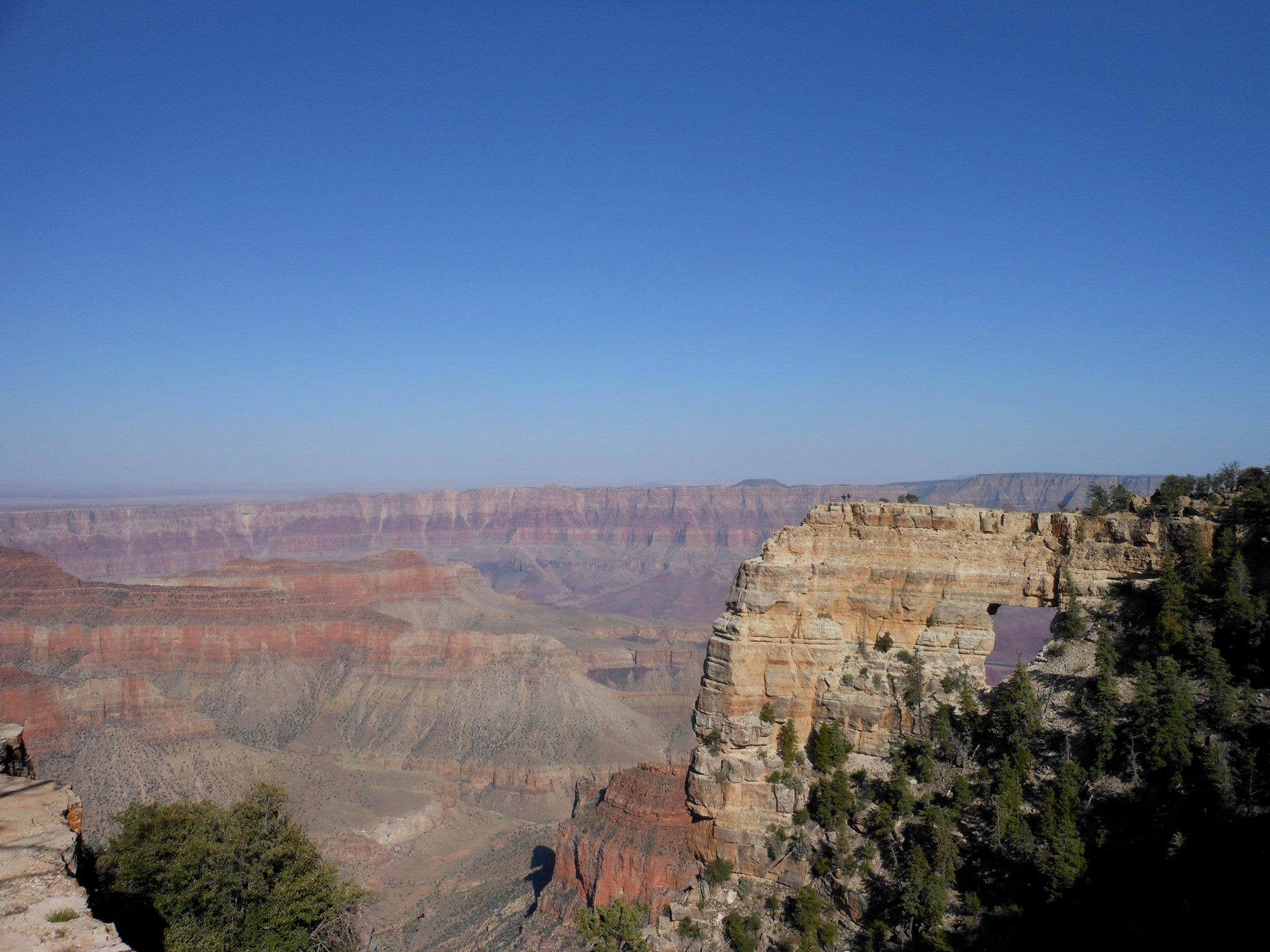 Camper submitted image from North Rim Campground — Grand Canyon National Park - 5