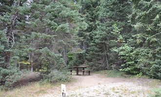 Camping near Nineteenmile Campground: Alpine Meadows Campground, Stehekin, Washington