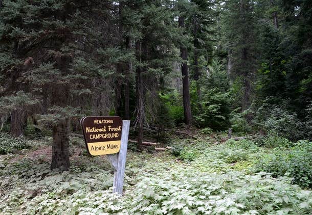 Camper submitted image from Alpine Meadows Campground — Okanogan Wenatchee National Forest - 1
