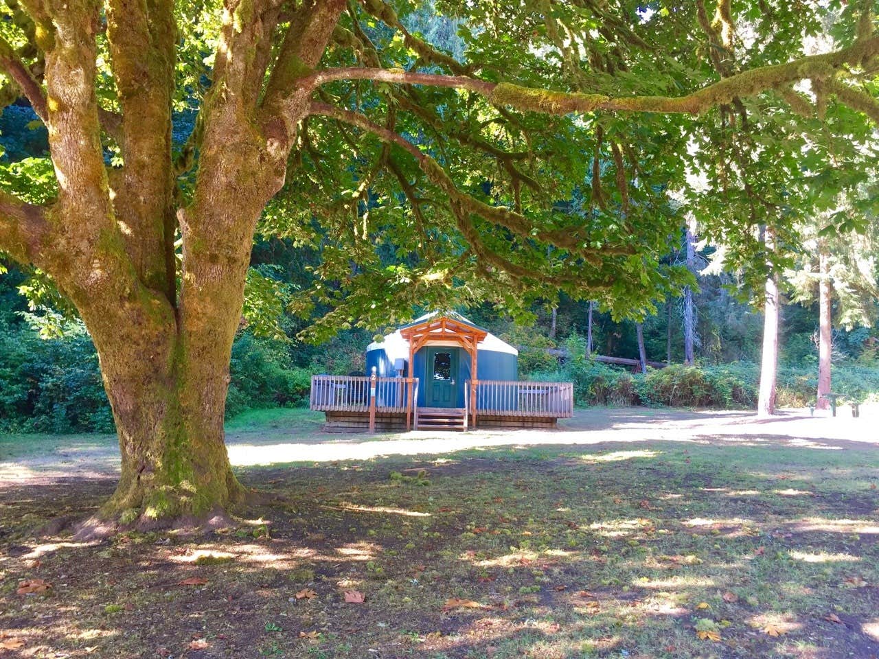 Camper-submitted photo at Tolt MacDonald Park, WA near Everett, WA