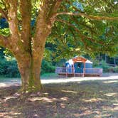 Review photo of Tolt MacDonald Park, WA by Mercedes D., September 27, 2017