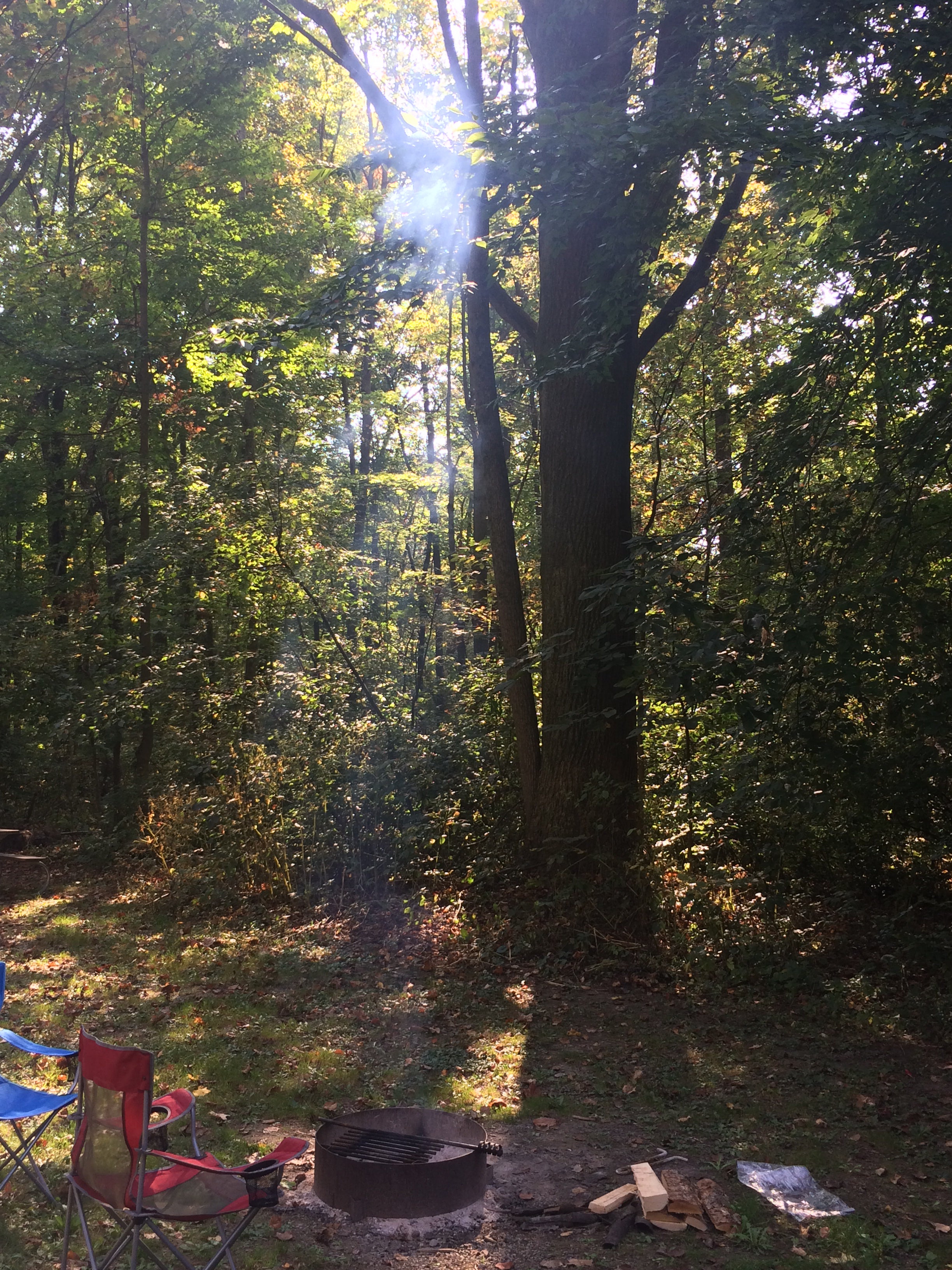 Camper submitted image from Mt Gilead State Park Campground - 5