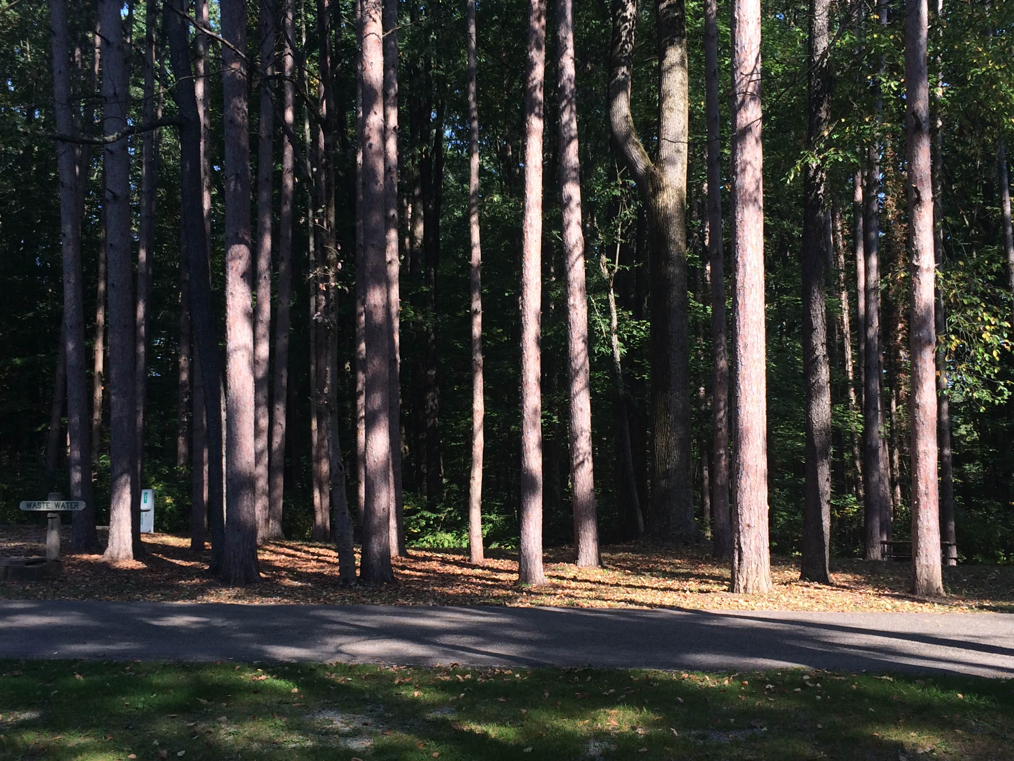 Camper submitted image from Mt Gilead State Park Campground - 2