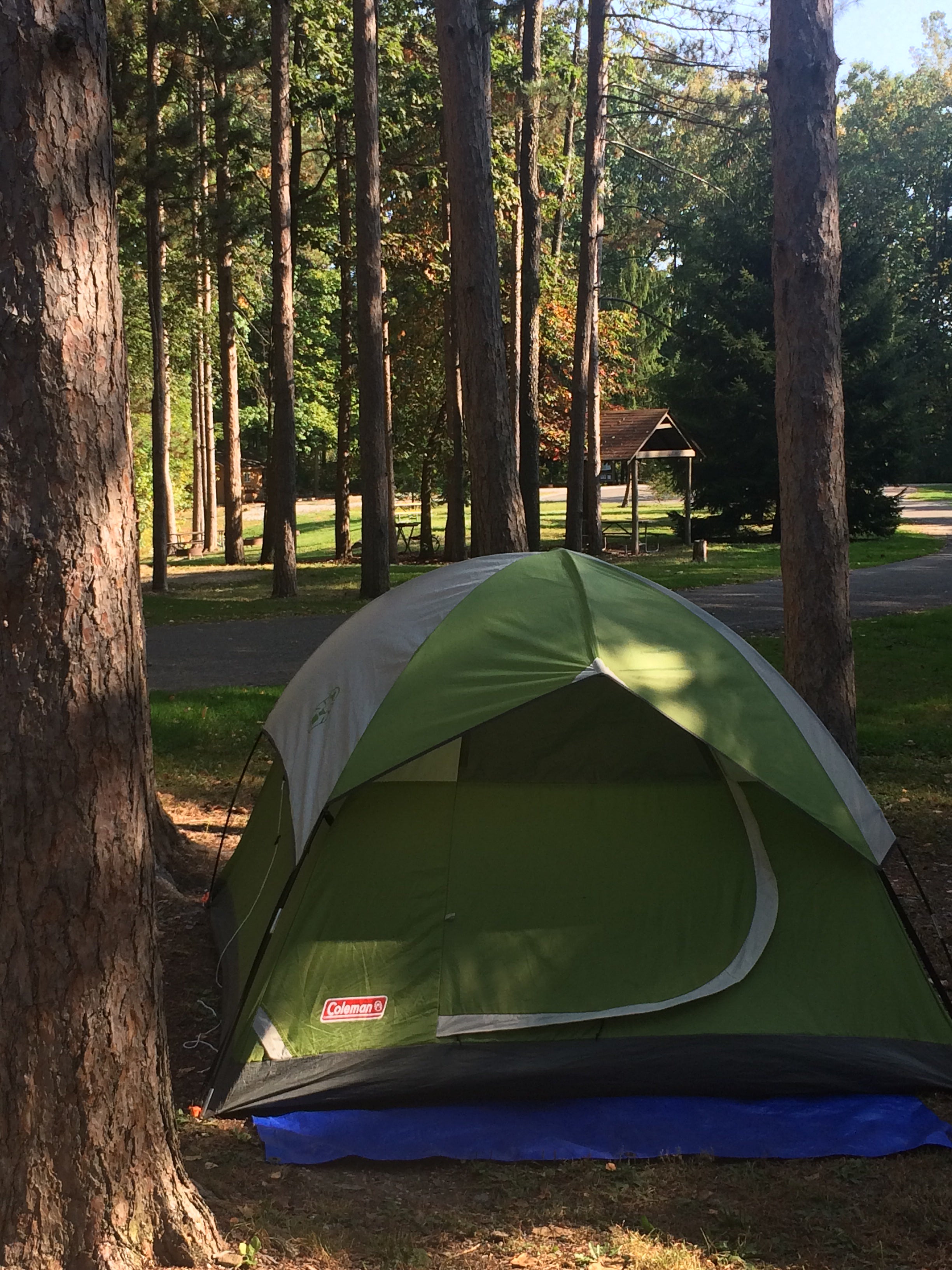 Camper submitted image from Mt Gilead State Park Campground - 3