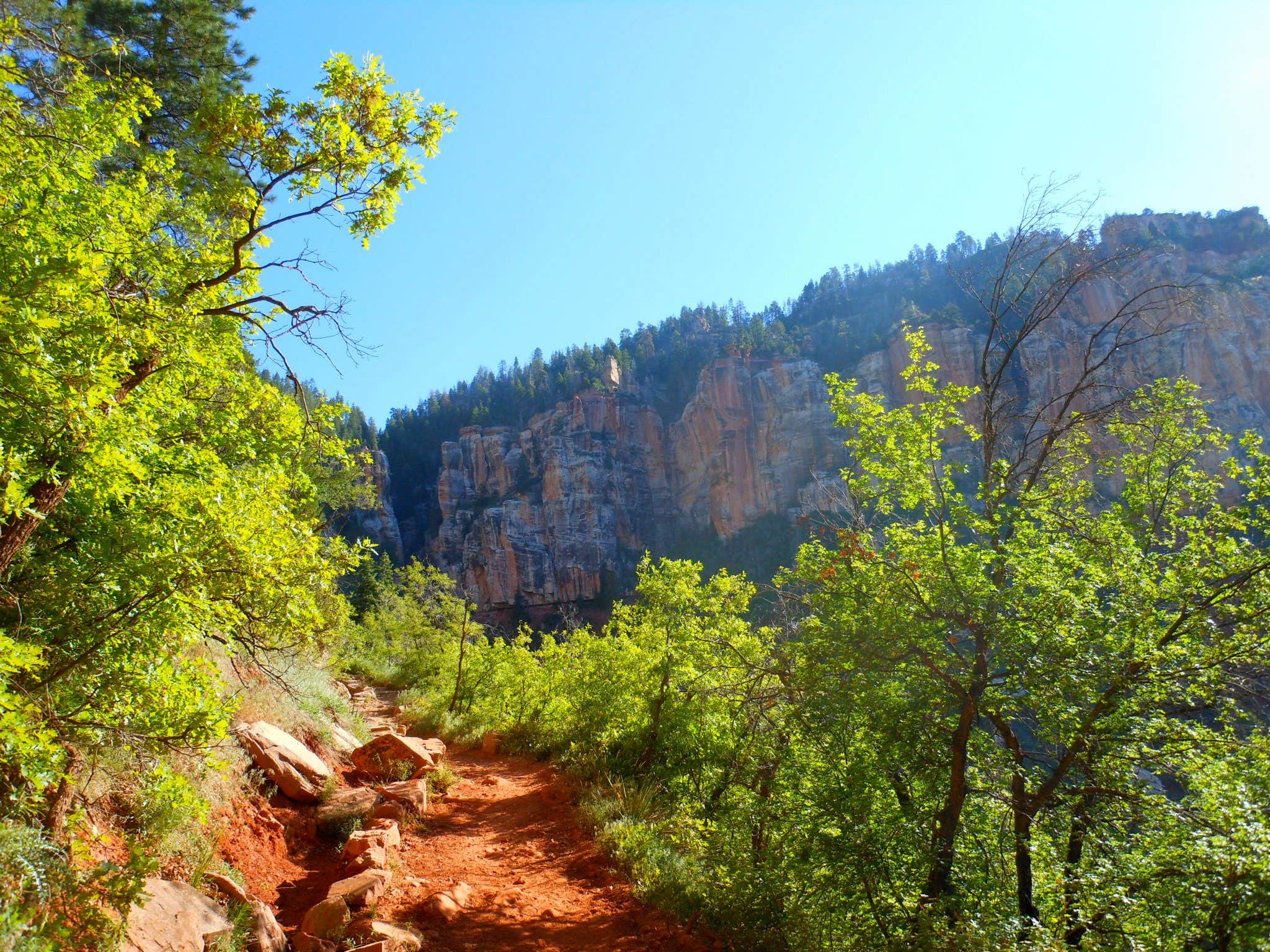 Camper submitted image from North Rim Campground — Grand Canyon National Park - 3