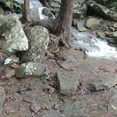 Review photo of Devil's Den State Park Campground by RA H., September 27, 2017