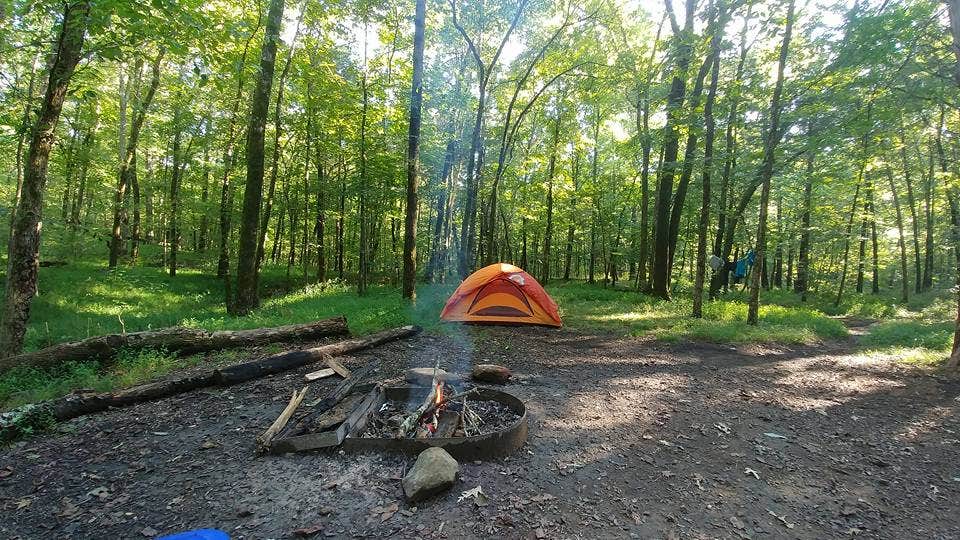 RA H.'s photo at Devil's Den State Park Campground in Arkansas
