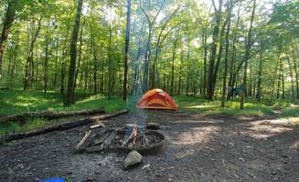 RA H.'s photo at Devil's Den State Park Campground in Arkansas