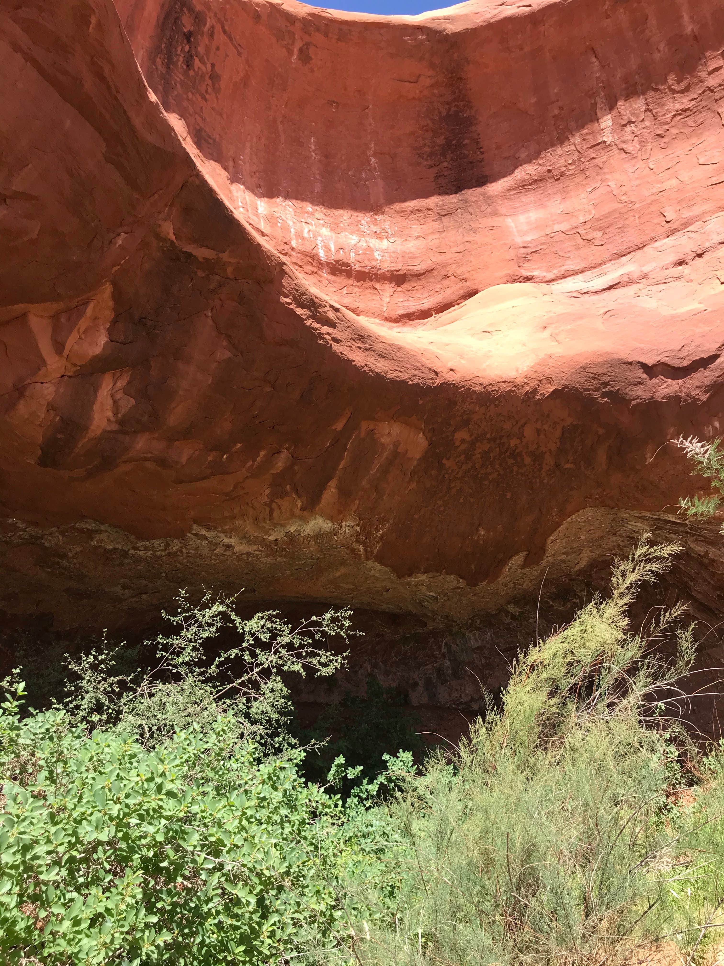Camper-submitted photo at Moonshine Wash TH near Green River, UT