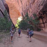 Review photo of Coyote Gulch — Glen Canyon National Recreation Area by Carrie C., May 16, 2020