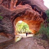 Review photo of Coyote Gulch — Glen Canyon National Recreation Area by Carrie C., May 16, 2020