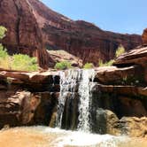 Review photo of Coyote Gulch — Glen Canyon National Recreation Area by Carrie C., May 16, 2020