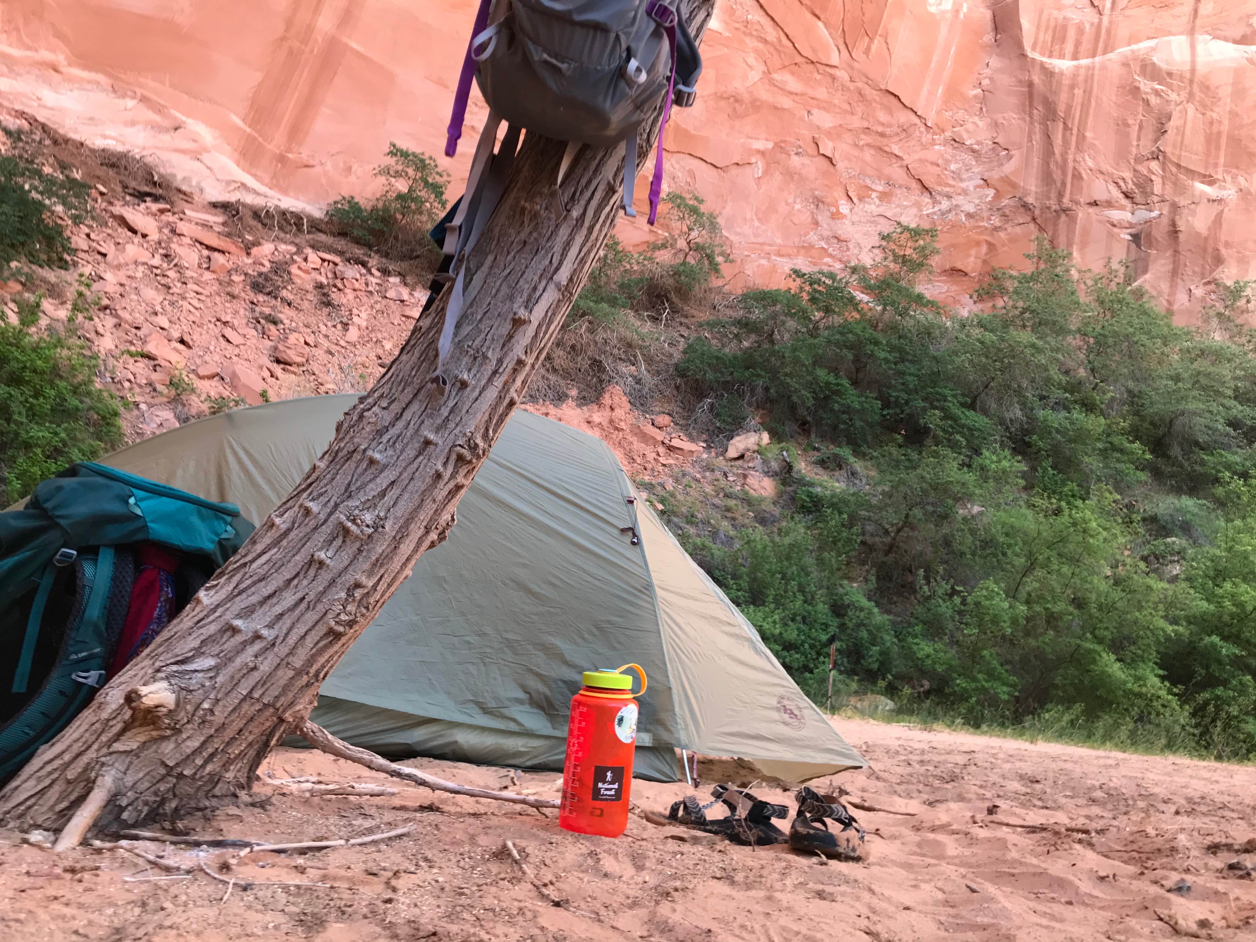 Carrie C.'s photo at Coyote Gulch — Glen Canyon National Recreation Area near Glen Canyon National Recreation Area
