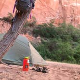 Review photo of Coyote Gulch — Glen Canyon National Recreation Area by Carrie C., May 16, 2020