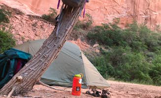 Carrie C.'s photo at Coyote Gulch — Glen Canyon National Recreation Area near Glen Canyon National Recreation Area