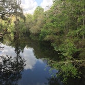 Review photo of Hillsborough River State Park Campground by Elizabeth G., September 28, 2017