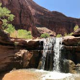 Review photo of Coyote Gulch — Glen Canyon National Recreation Area by Carrie C., May 16, 2020