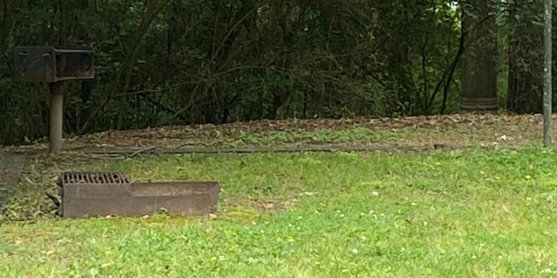 Camper submitted image from Gin Creek