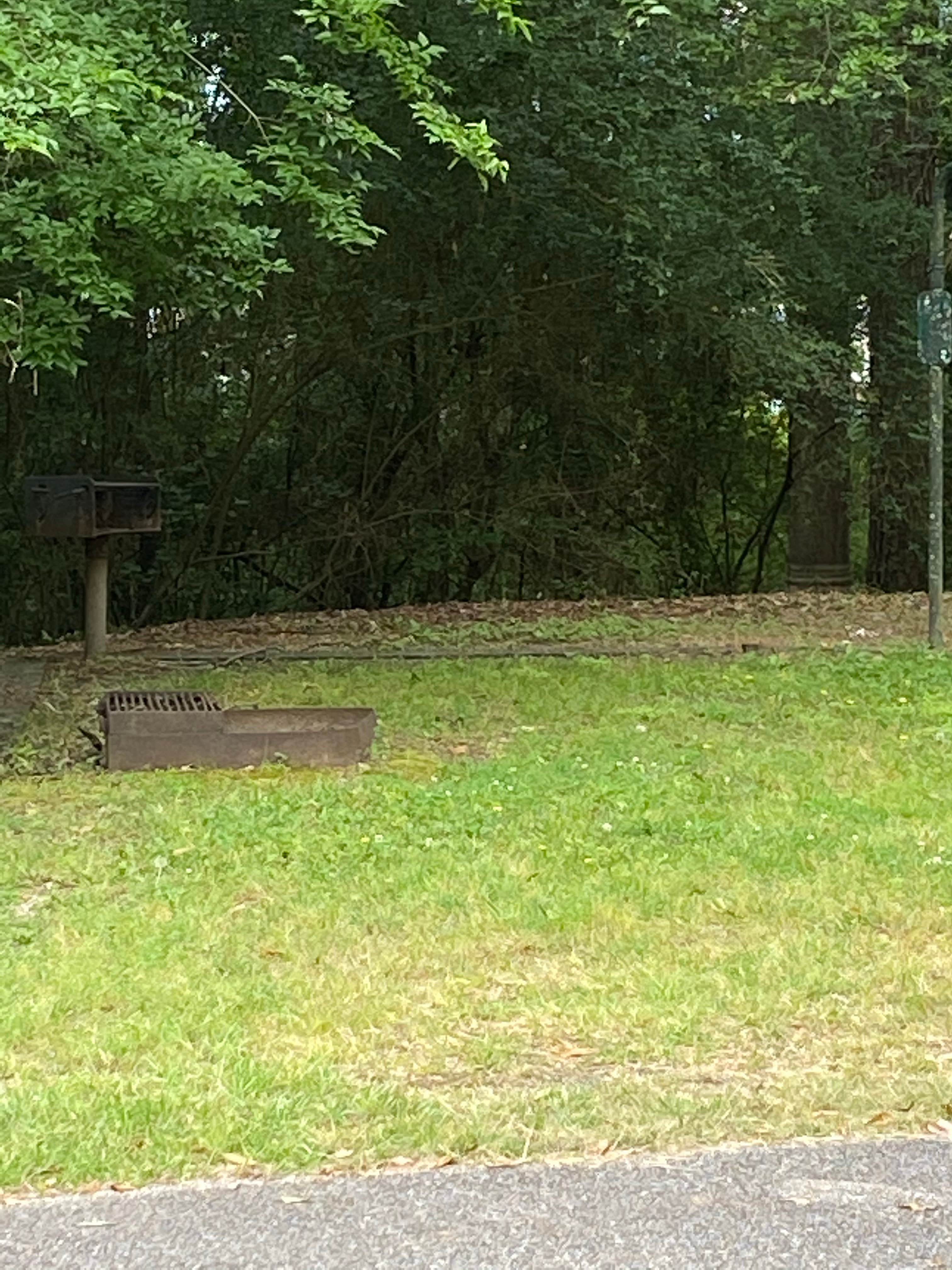 Gin Creek Camping Collinsville, MS The Dyrt