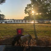 Review photo of Janes Island State Park Campground by Michael G., May 17, 2020