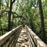 Review photo of Hillsborough River State Park Campground by Elizabeth G., September 28, 2017