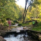 Review photo of Moonshine Creek Campground by Nate C., May 17, 2020