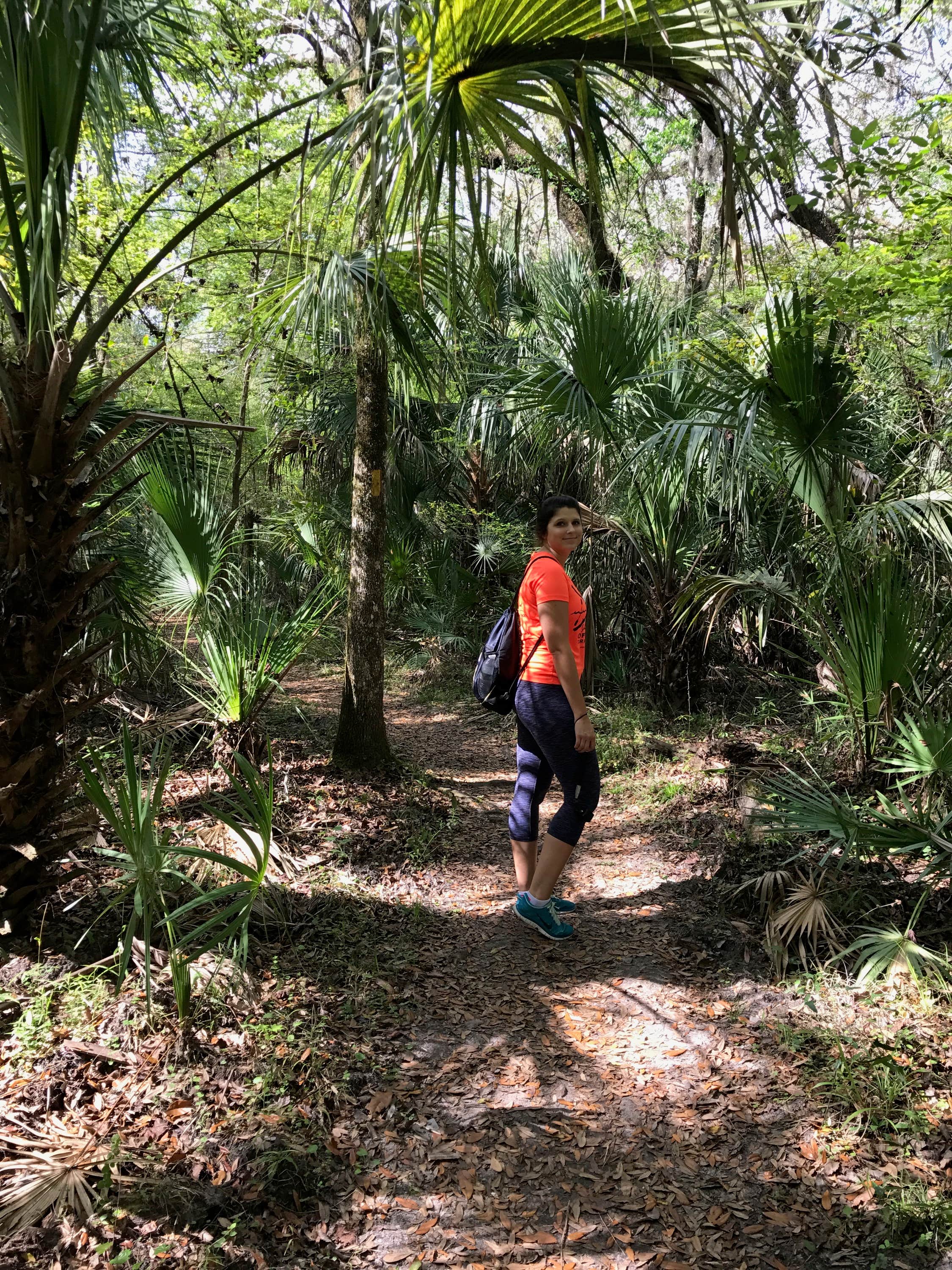 Camper submitted image from Hillsborough River State Park Campground - 5