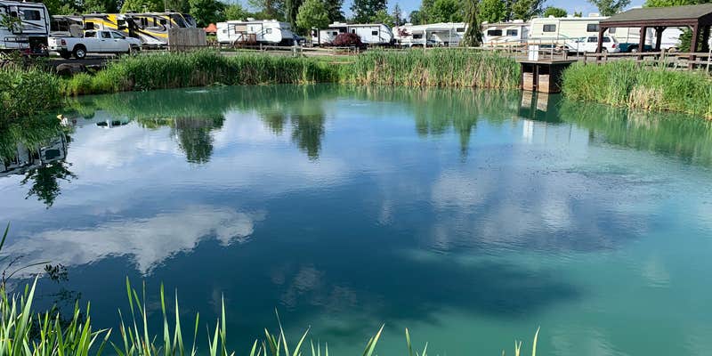 Camper submitted image from Silver Spur RV Park & Resort