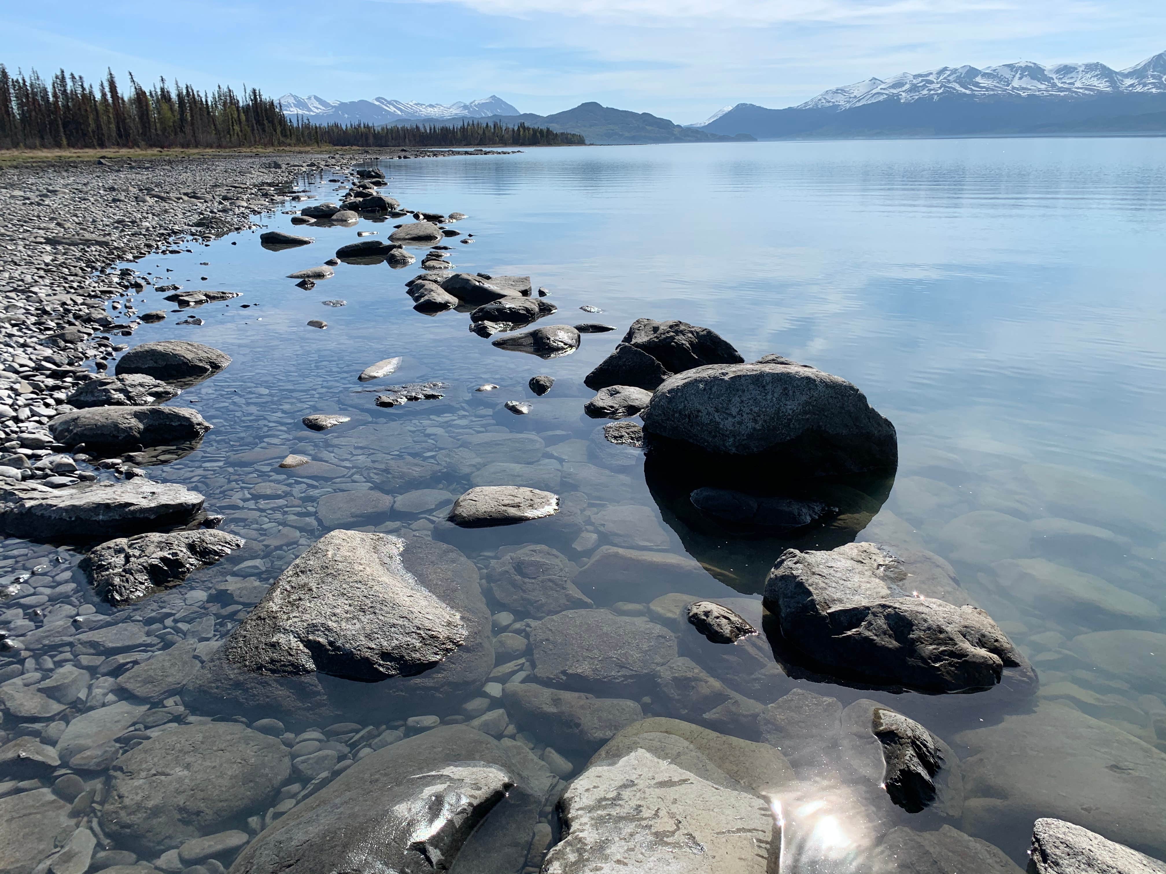 Camper submitted image from Lower Skilak Lake Campground - 5