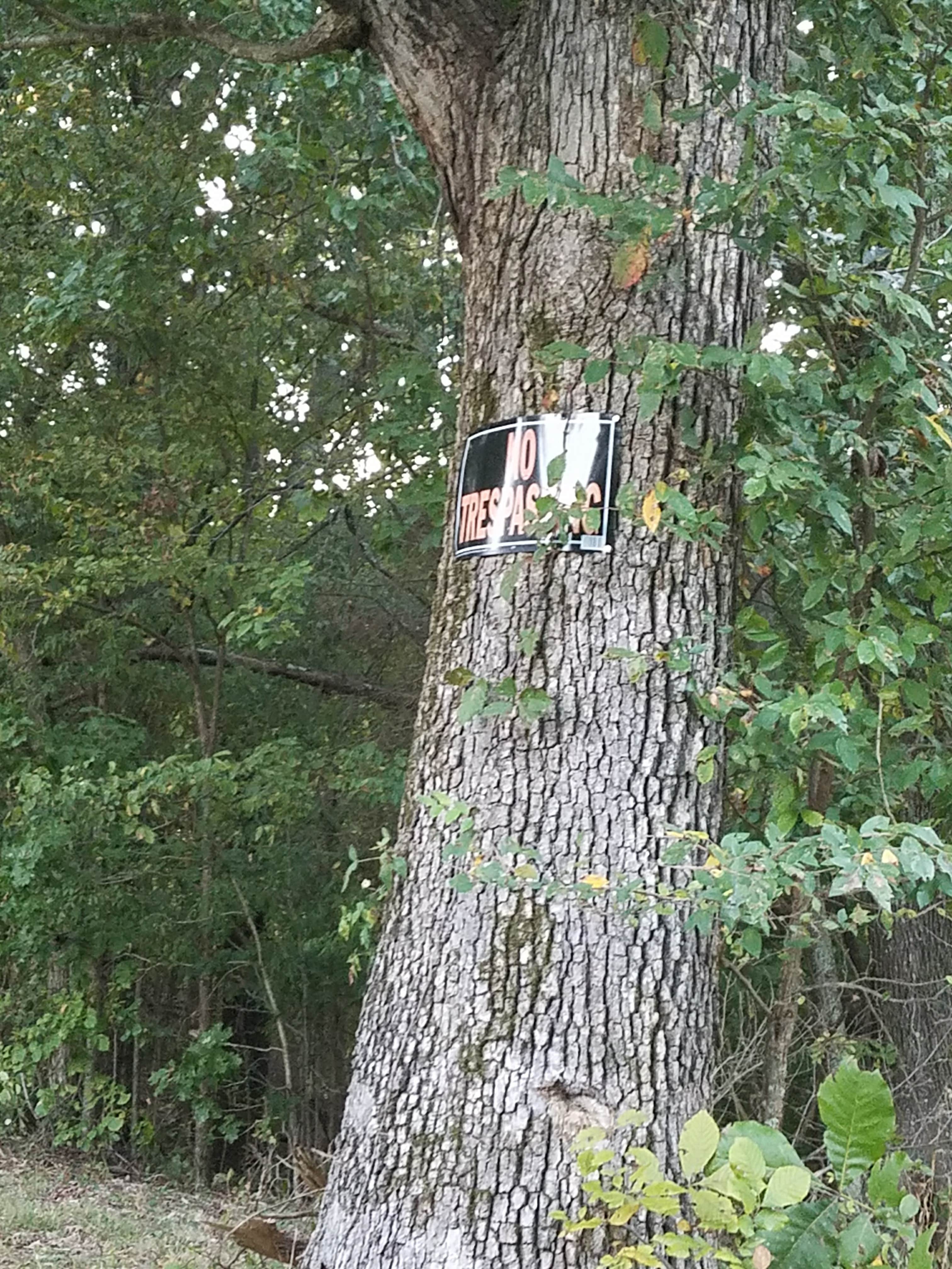 Camper-submitted photo at Eddy Creek Access near Eddyville, KY