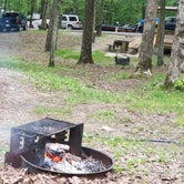 Review photo of Paris Landing State Park Campground by Todd M., May 18, 2020