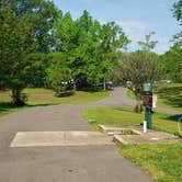 Review photo of Paris Landing State Park Campground by Todd M., May 18, 2020