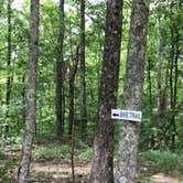 Review photo of Tombigbee State Park by Ryan S., May 18, 2020