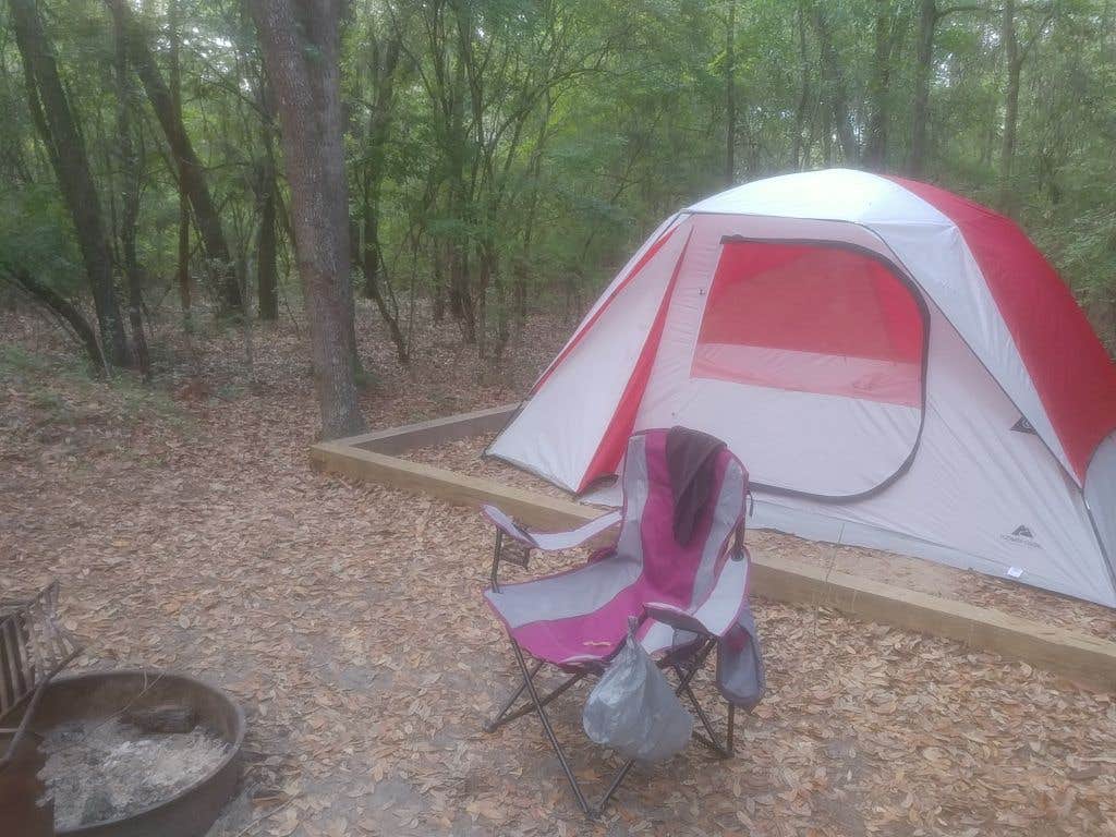 Camper submitted image from Jennings State Forest Hammock Campground - 4